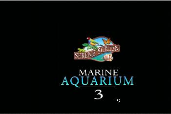 marine aquarium lite screensaver